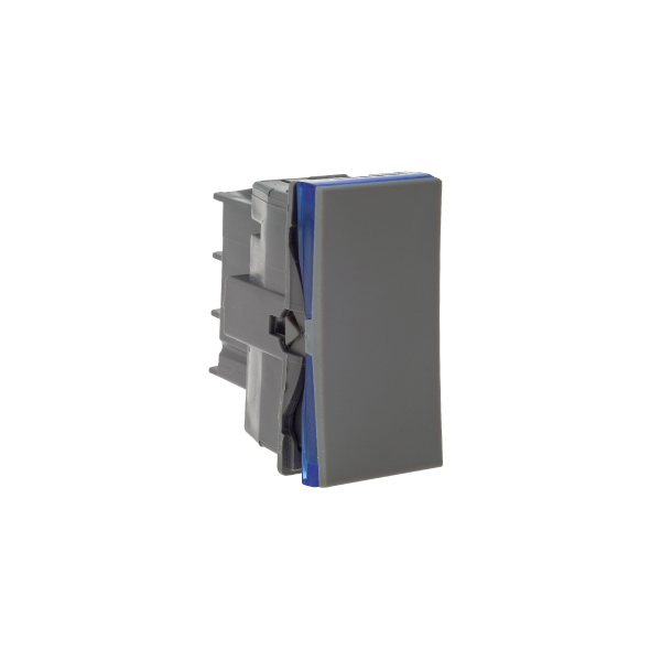 Modulo Interruptor 1tecla 10a Cinza Pial Plus+ - Ref.611010CZ
