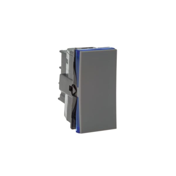 Módulo Interruptor Paralelo 10a Cinza Borne Automático Pial Plus+ - Ref.611011CZ