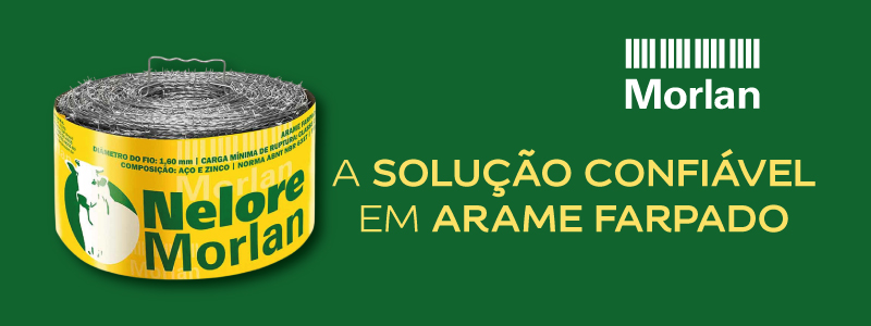 BANNER MOSAICO MORLAN 